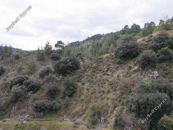 land for sale palaichori oreinis nicosia 1174719 image 15602315