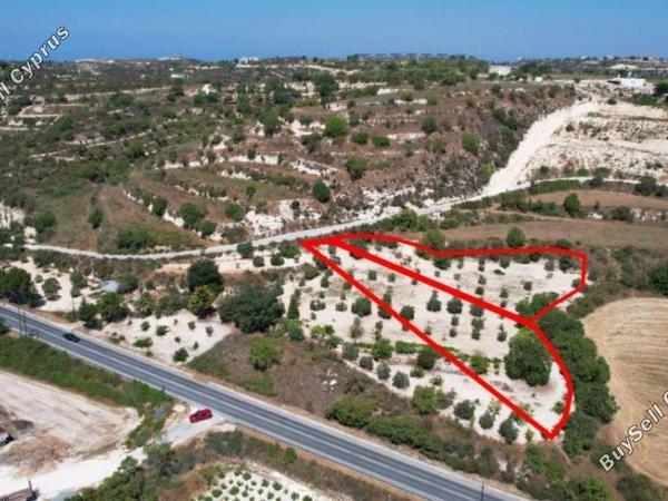 land for sale tsada paphos 8395719 image 14821365