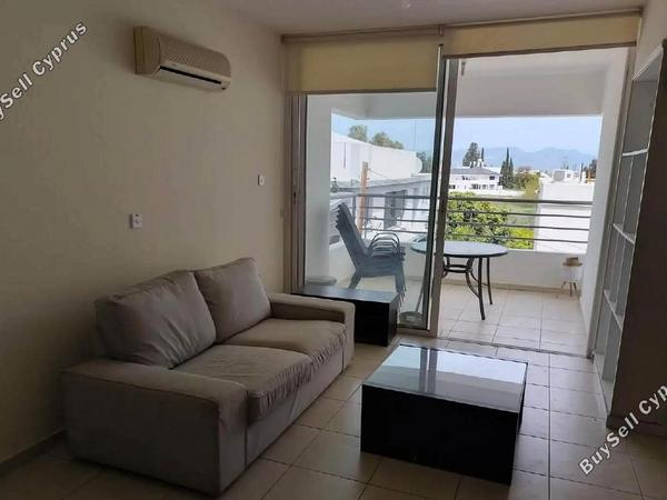 1 bedroom apartment for rent aglantzia nicosia 8592819 image 16337144