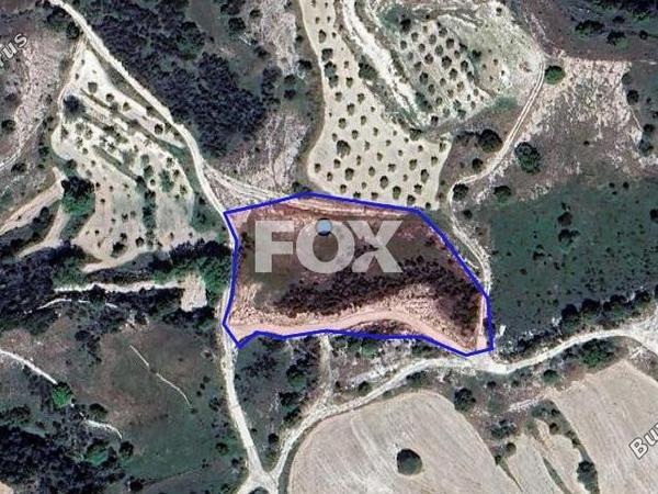land for sale lemona paphos 1544819 image 5637546