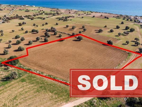 land sold agios theodoros larnacas larnaca 842819 image 706875