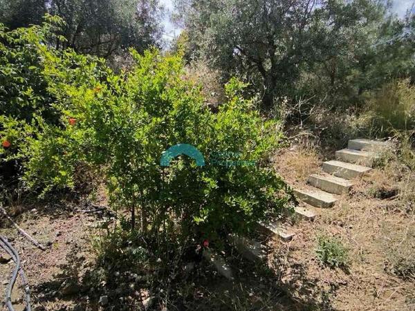 2 bedroom detached house for sale lythrodontas nicosia 7591919 image 13757836