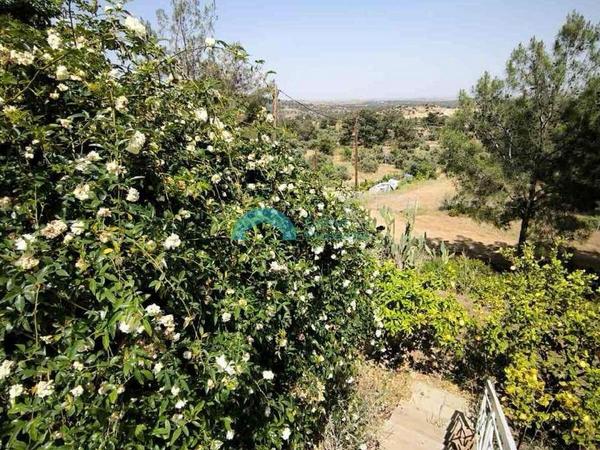 2 bedroom detached house for sale lythrodontas nicosia 7591919 image 13757838