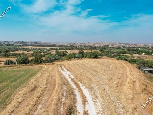 land for sale aradippou larnaca 957919 image 5602005