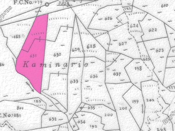 land for sale gerakies nicosia 8531919 image 15468665
