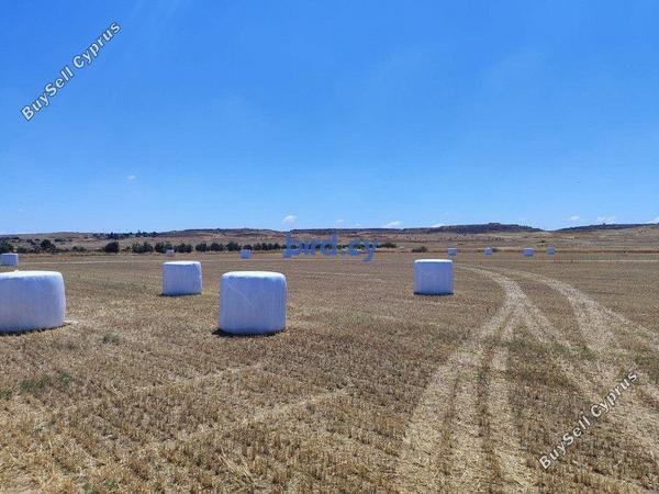 land for sale geri nicosia 8835919 image 17025656