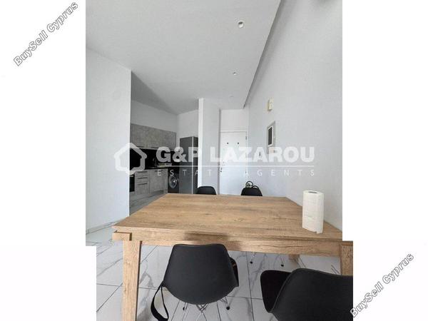 1 bedroom apartment for rent aglantzia nicosia 7625029 image 16334571