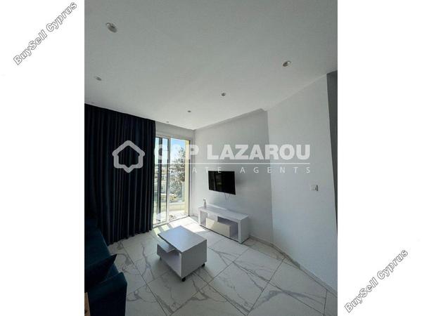 1 bedroom apartment for rent aglantzia nicosia 7625029 image 16334579