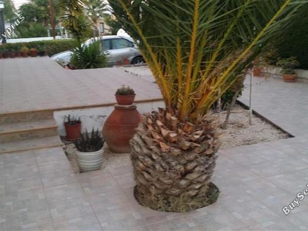 3 bedroom detached house for sale pera orinis nicosia 1062029 image 16251897