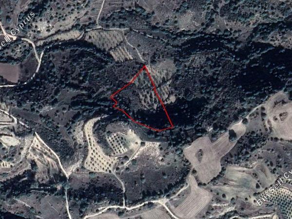 land for sale lemona paphos 828029 image 15178918