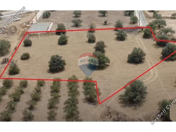 land for sale tseri nicosia 7638029 image 15357095