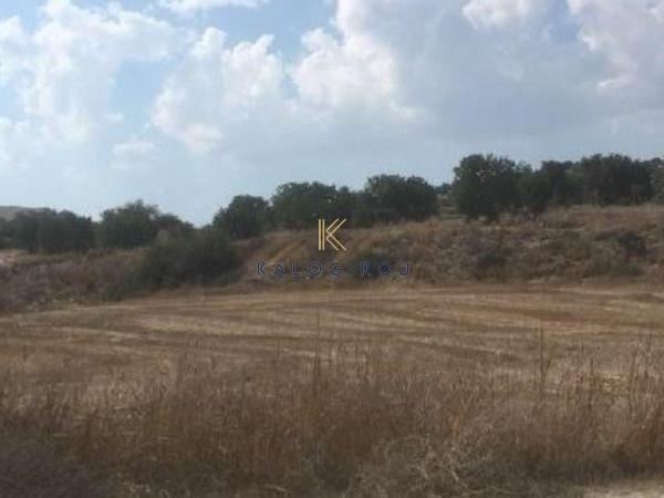 plot for sale alaminos larnaca 1616029 image 5705499
