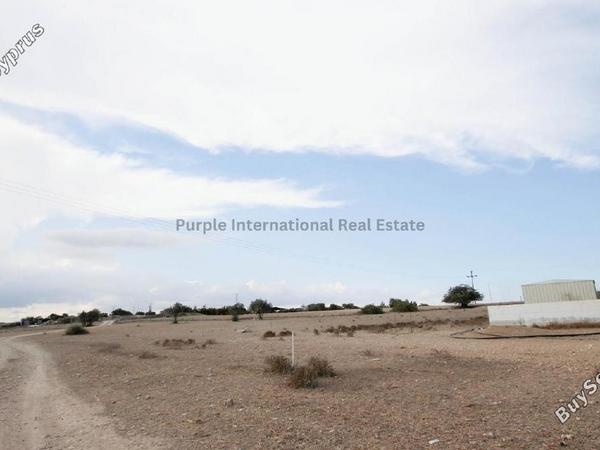 plot for sale frenaros famagusta 7543029 image 10281254