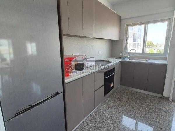 2 bedroom apartment for rent strovolos nicosia 8749129 image 16472614