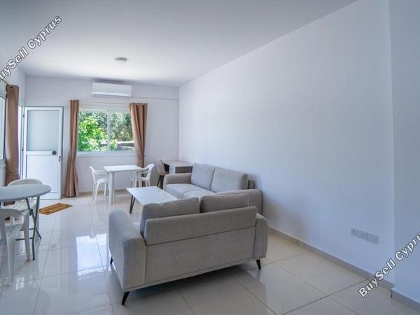2 bedroom ground floor apartment for rent mesogi paphos 8765129 image 16557100