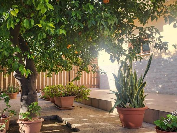 3 bedroom detached house for sale aglantzia nicosia 1687129 image 16242553