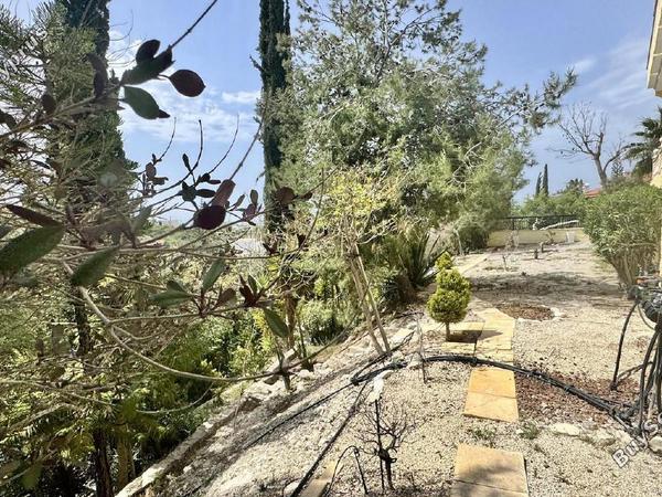 5 bedroom detached house for sale tala paphos 8509129 image 15631504