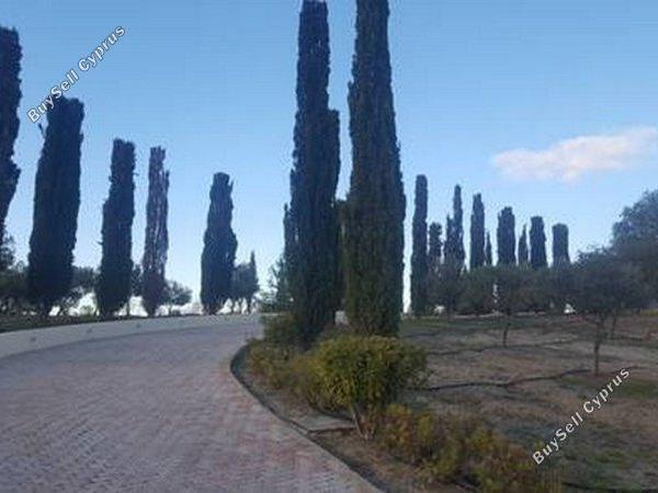 7 bedroom detached house for sale pano lakatamia nicosia 1685129 image 4986902