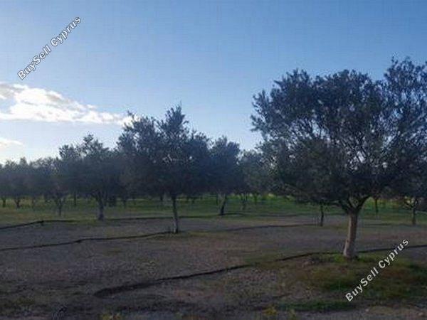 7 bedroom detached house for sale pano lakatamia nicosia 1685129 image 5188084