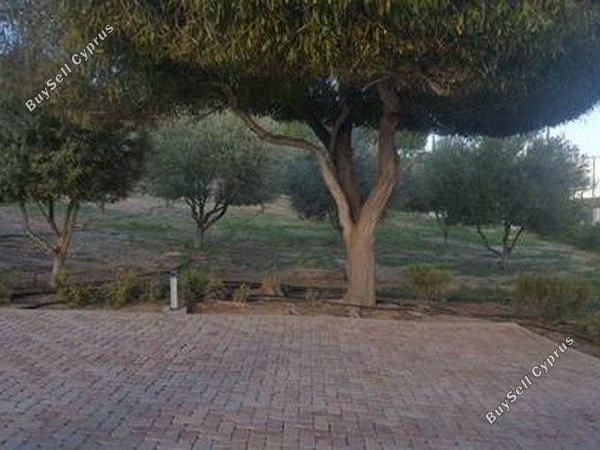 7 bedroom detached house for sale pano lakatamia nicosia 1685129 image 5188088