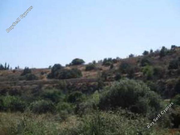 land for sale alaminos larnaca 1589129 image 14472822