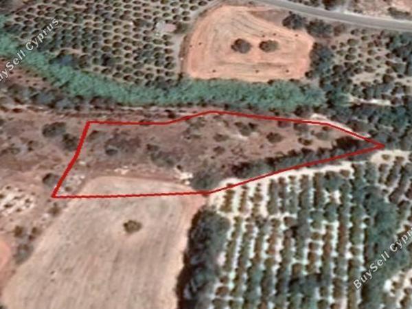 land for sale alaminos larnaca 1589129 image 14472824