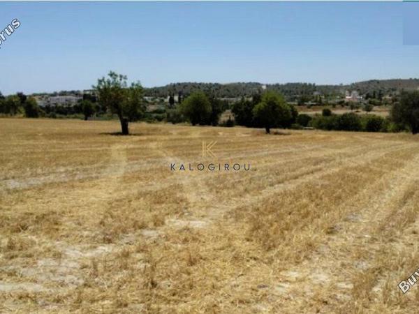 land for sale alethriko larnaca 1268129 image 5619783