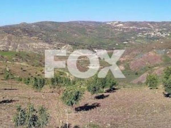 land for sale choletria paphos 1326129 image 10035062