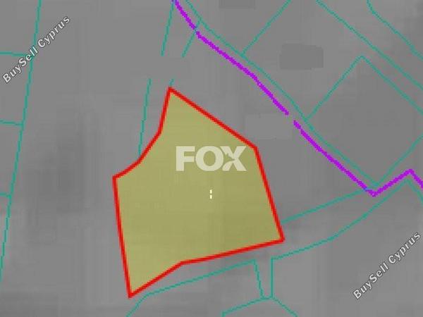 land for sale mesogi paphos 1159129 image 10029089
