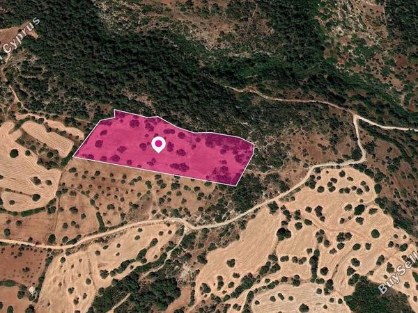 land for sale neo chorio paphos 8396129 image 16257190