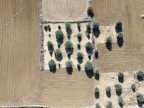 land for sale pera orinis nicosia 8225129 image 13950973