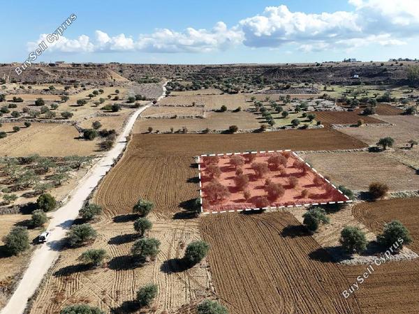 land for sale pera orinis nicosia 8225129 image 13950974