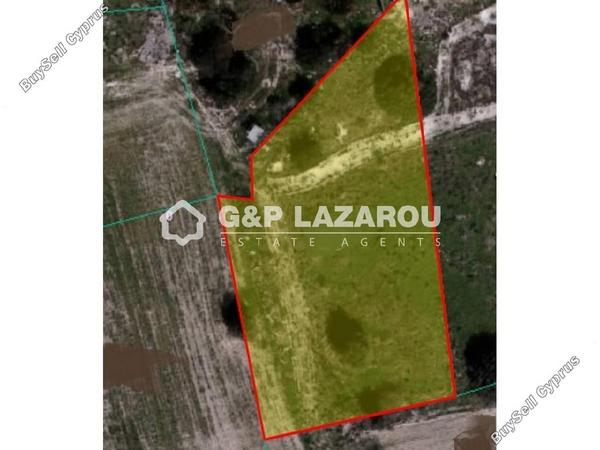 land for sale tochni larnaca 1688129 image 6005791