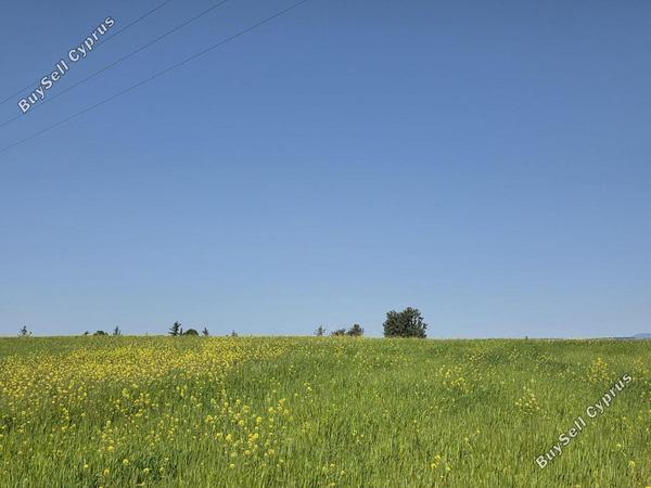 land for sale erimi limassol 7885229 image 14136841