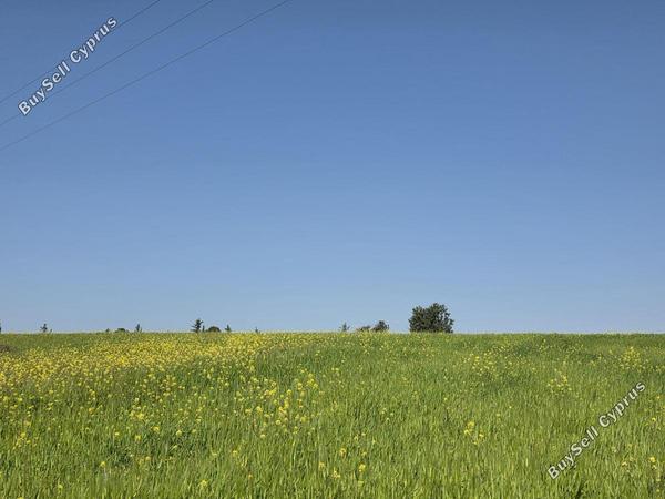 land for sale erimi limassol 7885229 image 14136850