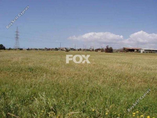 land for sale ypsonas limassol 1146229 image 5498788