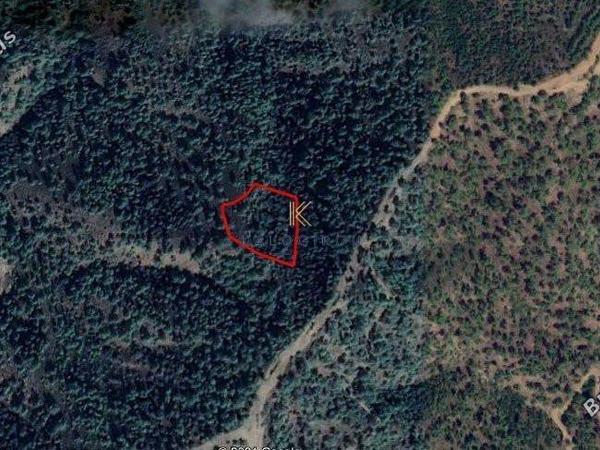 plot for sale kampos nicosia 1195229 image 5576595