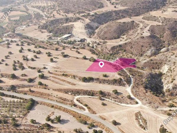 land for sale agios theodoros larnacas larnaca 8629329 image 15867341