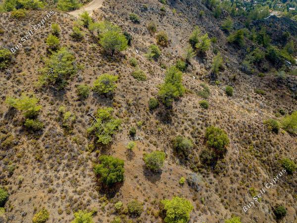 land for sale kato platres limassol 1336329 image 16700807