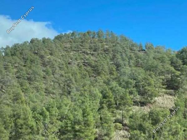 land for sale pera orinis nicosia 7980329 image 11622917