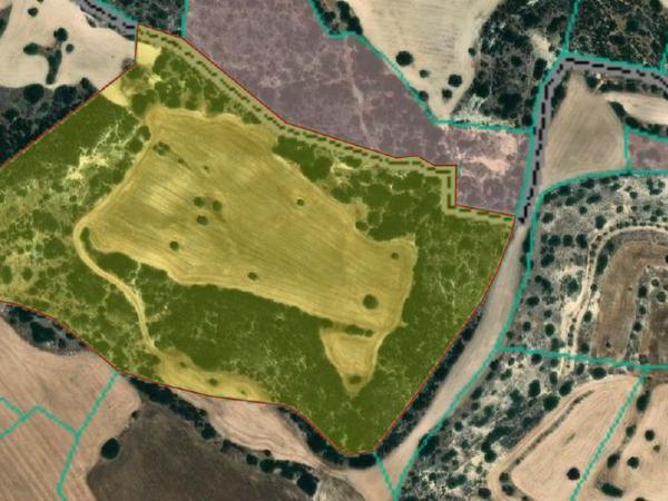 land for sale agios theodoros larnacas larnaca 7903429 image 11122510