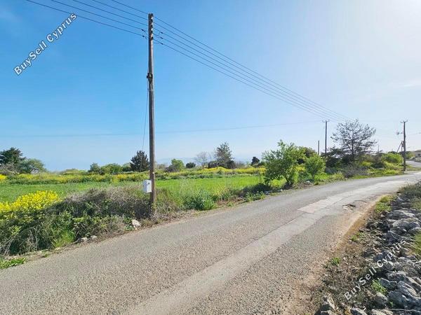 land for sale drousia paphos 1336429 image 2477093