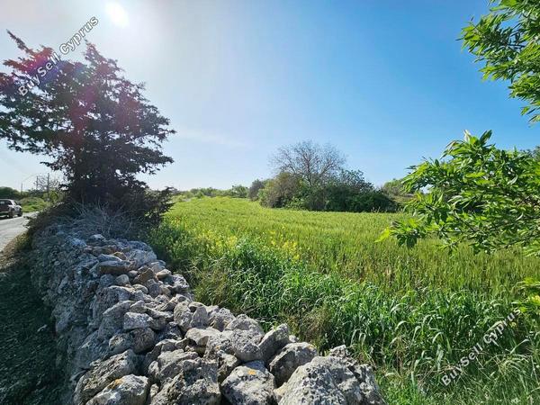 land for sale drousia paphos 1336429 image 2477097