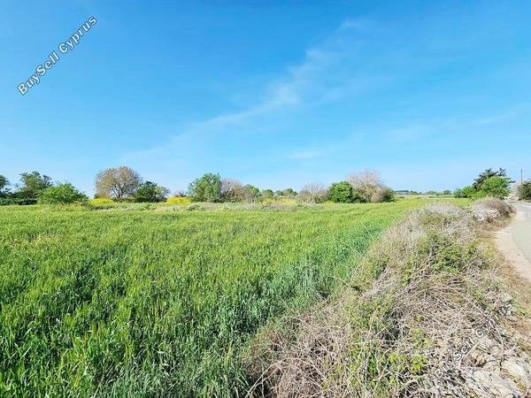 land for sale drousia paphos 1336429 image 2477099