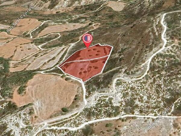 land for sale peyia paphos 912429 image 791742
