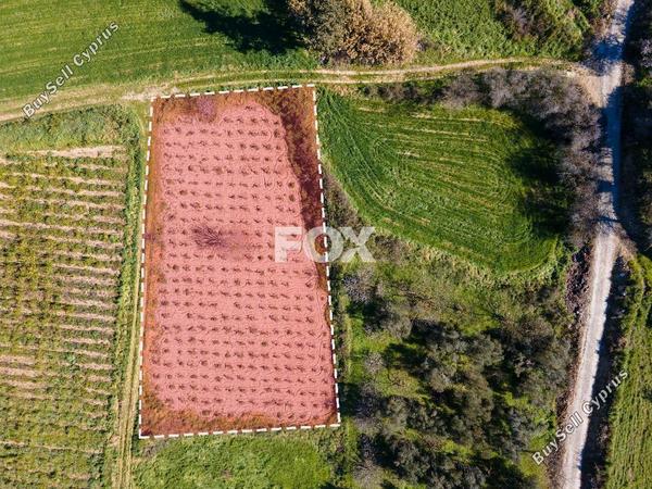 land for sale polemi paphos 1908429 image 7353611