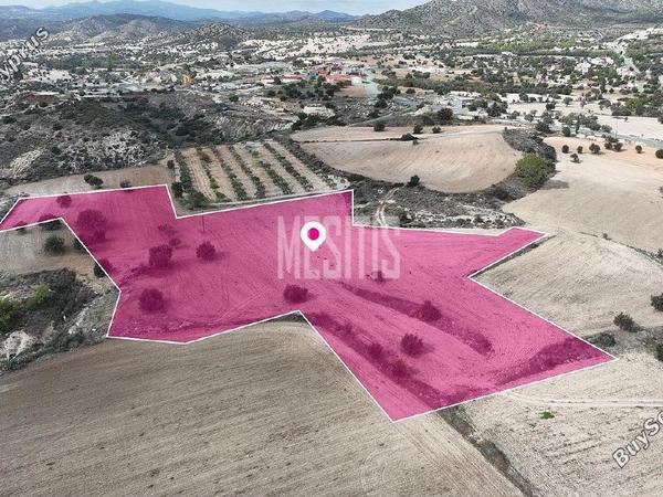 plot for sale anglisides larnaca 1370429 image 10500923