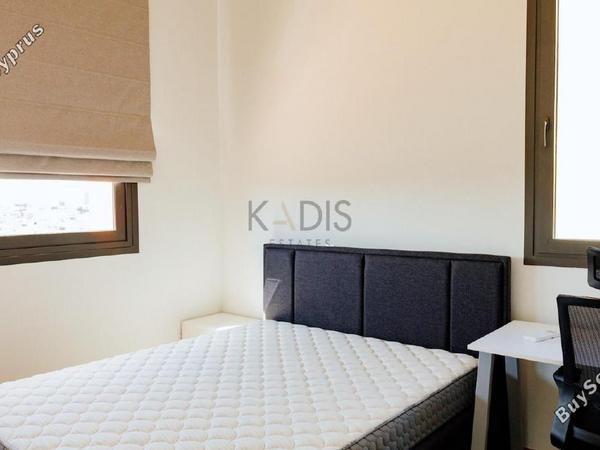 2 bedroom penthouse for rent mesa gitonia limassol 8317529 image 16067151