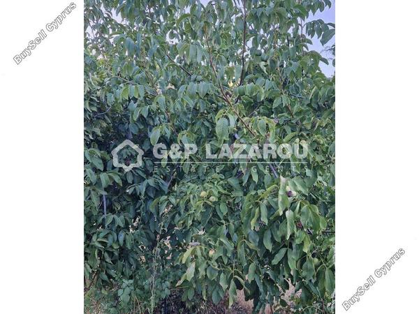 land for sale kampos nicosia 1813529 image 6268054