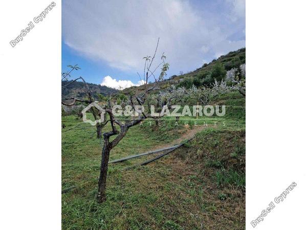 land for sale kampos nicosia 1813529 image 6268072